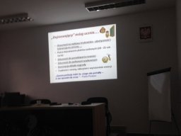 siec_ped2